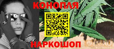 шишки Северобайкальск