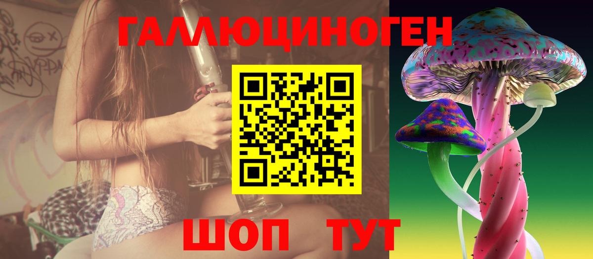 Псилоцибиновые грибы мицелий  Вход с VPN  где купить наркотик  Новодвинск 