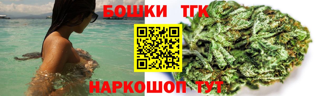МЕФ Новодвинск